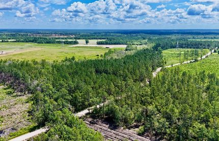 Hunting Land for sale in Wayne County, Georgia