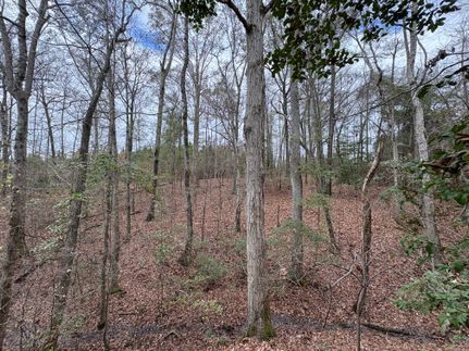 Property for sale in Stewart County, Georgia