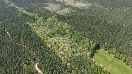 Property for sale in Pike County, Arkansas