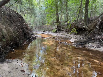 Hunting Land for sale in Coffee County, Alabama