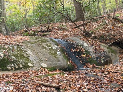 Timberland Property for sale in Nelson County, Virginia