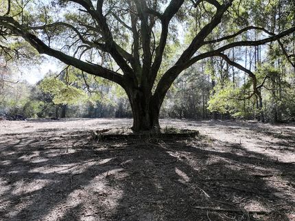 Residential Property for sale in Tangipahoa Parish, Louisiana