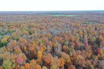 Timberland Property for sale in Ripley County, Missouri