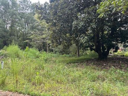 Undeveloped Land for sale in McCurtain County, Oklahoma
