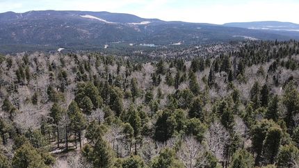Timberland Property for sale in Colfax County, New Mexico