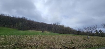 Undeveloped Land for sale in Sullivan County, New York