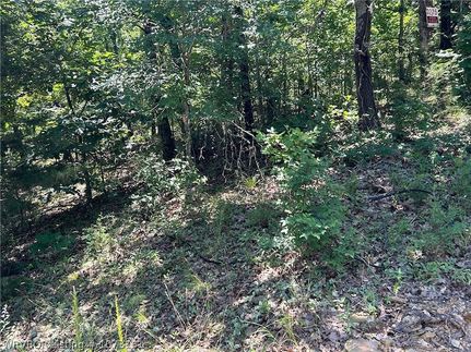 Undeveloped Land for sale in Cherokee County, Oklahoma