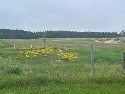 Undeveloped Land for sale in Forest County, Wisconsin