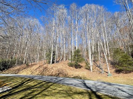 Property for sale in Henderson County, North Carolina