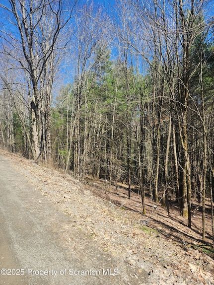 Undeveloped Land for sale in Broome County, New York