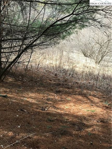 Residential Property for sale in Ashe County, North Carolina