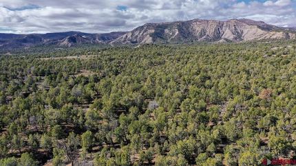 Undeveloped Land for sale in La Plata County, Colorado