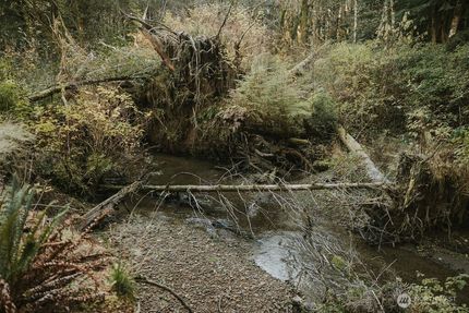 Lakefront Property for sale in Clallam County, Washington