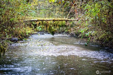 Lakefront Property for sale in Clallam County, Washington