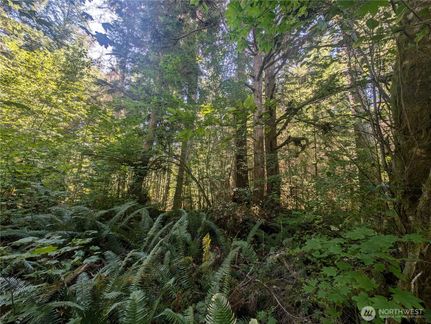 Undeveloped Land for sale in Clallam County, Washington