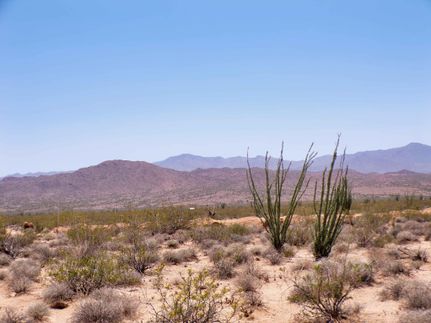 Undeveloped Land for sale in Mohave County, Arizona