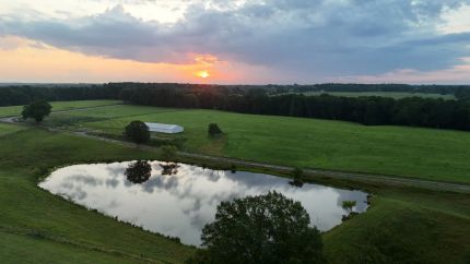 Hunting Land for sale in Franklin County, Alabama