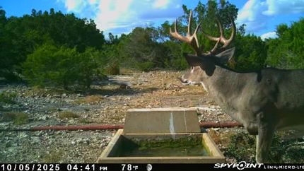 Residential Property for sale in Edwards County, Texas