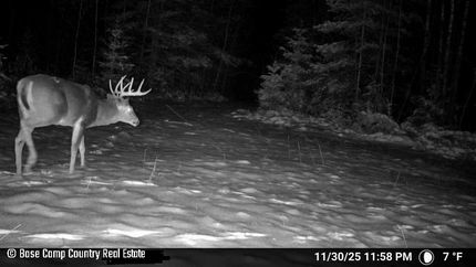 Undeveloped Land for sale in Marathon County, Wisconsin