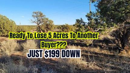 Undeveloped Land for sale in Navajo County, Arizona