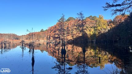 Property for sale in Darlington County, South Carolina