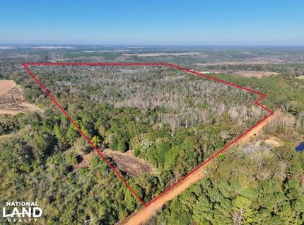Hunting Land for sale in Geneva County, Alabama