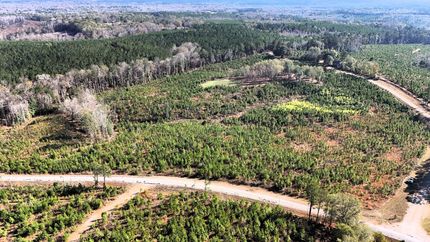 Recreational Property for sale in Bullock County, Alabama