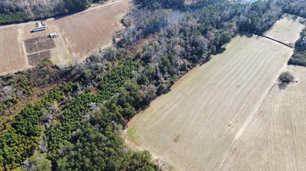 Hunting Land for sale in Horry County, South Carolina