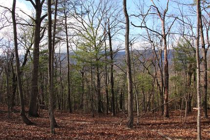 Undeveloped Land for sale in Shenandoah County, Virginia