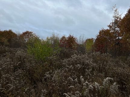 Property for sale in Waldo County, Maine