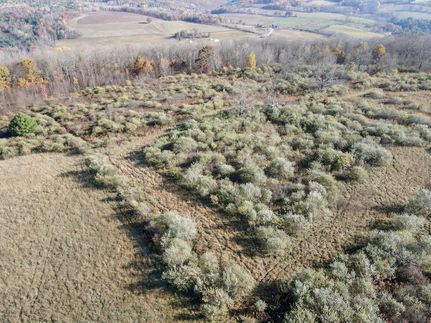 Undeveloped Land for sale in Steuben County, New York