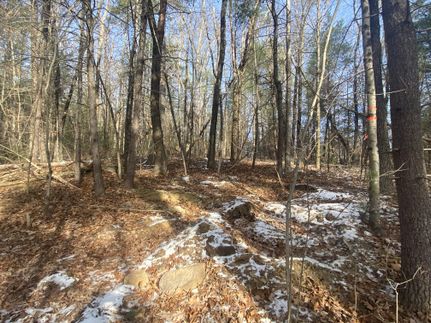 Hunting Land for sale in Hampden County, Massachusetts