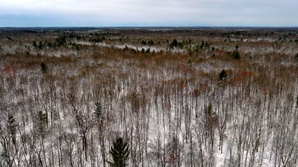 Undeveloped Land for sale in Newaygo County, Michigan