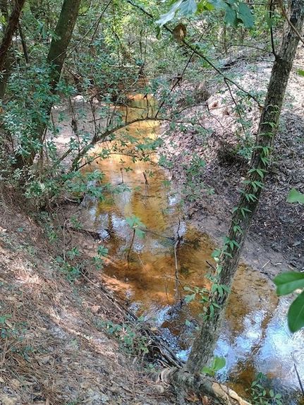 Undeveloped Land for sale in Jasper County, Texas