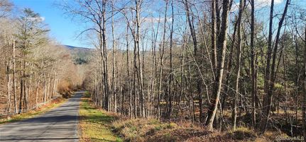 Undeveloped Land for sale in Sullivan County, New York