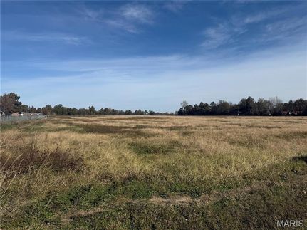 Undeveloped Land for sale in Pemiscot County, Missouri