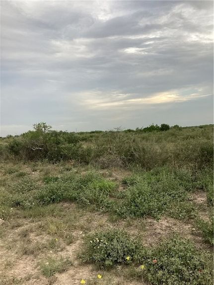 Property for sale in Duval County, Texas