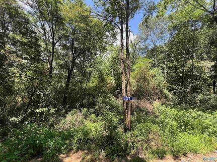 Property for sale in Marshall County, Alabama