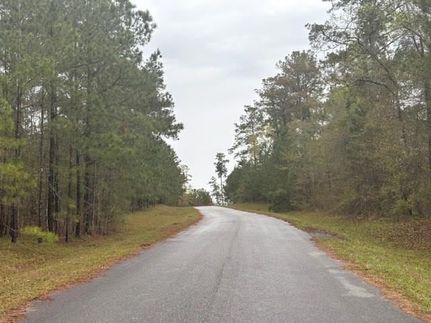 Property for sale in Decatur County, Georgia