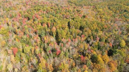 Property for sale in Fulton County, New York