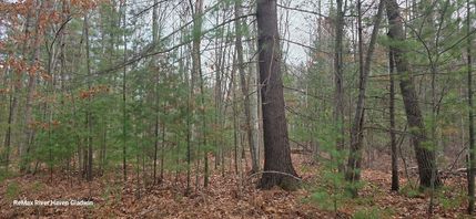 Property for sale in Gladwin County, Michigan