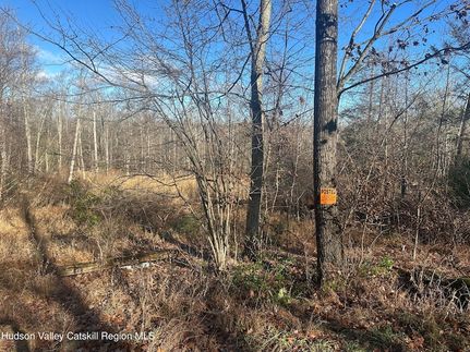 Property for sale in Ulster County, New York