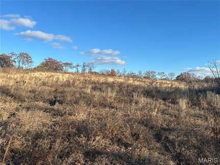 Undeveloped Land for sale in Washington County, Missouri