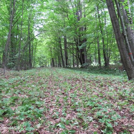 Undeveloped Land for sale in Saratoga County, New York