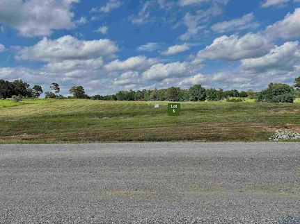 Undeveloped Land for sale in Upshur County, Texas