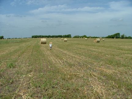 Property for sale in Collin County, Texas