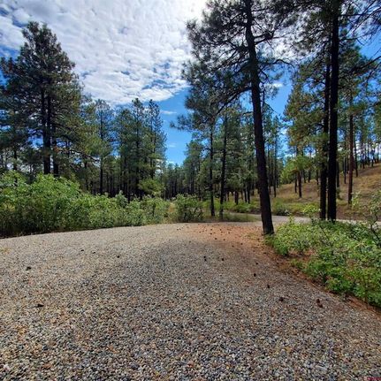 Property for sale in La Plata County, Colorado