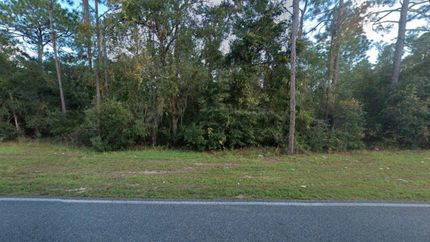 Undeveloped Land for sale in Putnam County, Florida