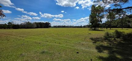Property for sale in Houston County, Alabama