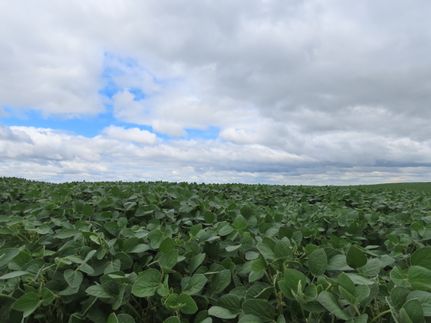 Farm Property for sale in Grand Forks County, North Dakota